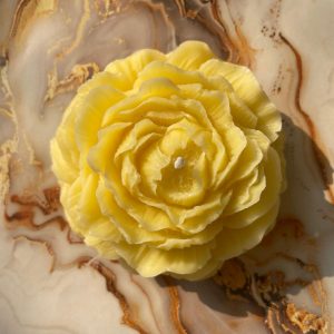 Amber Peony