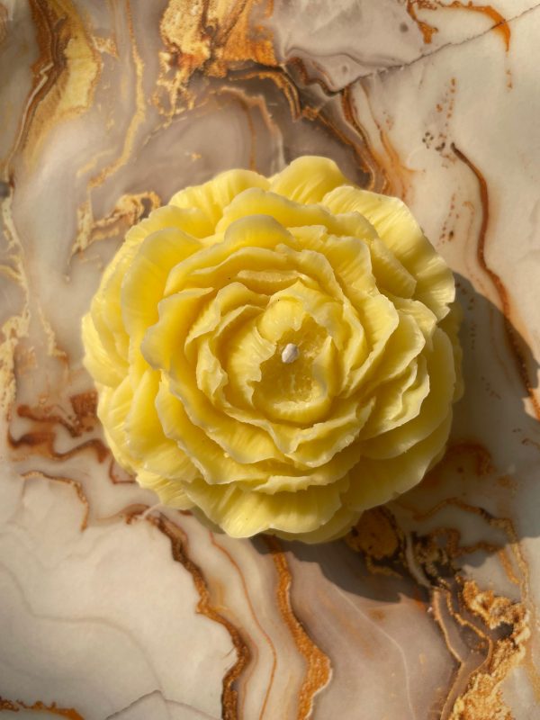 Amber Peony