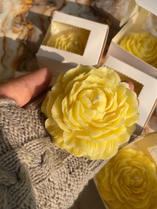 Amber Peony - Image 2