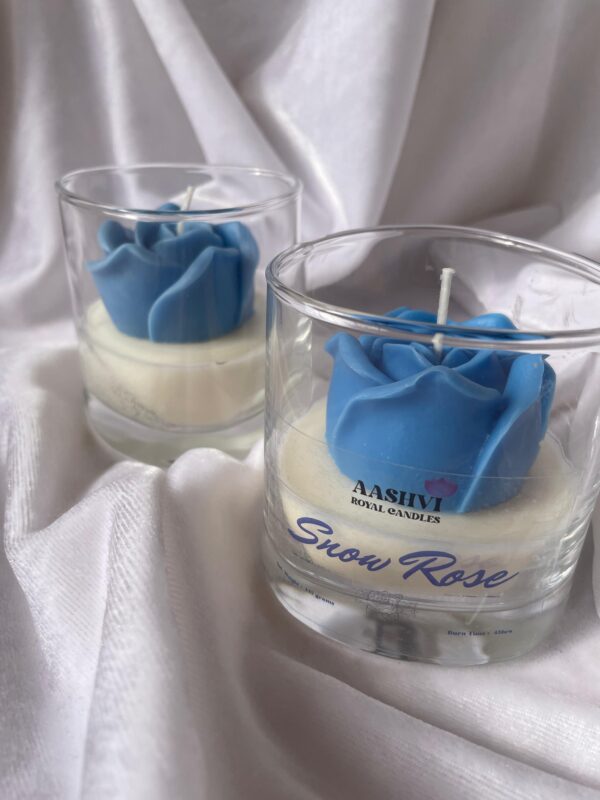 Snow Rose